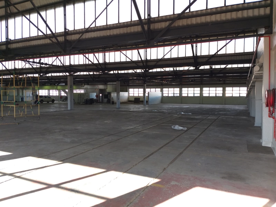 To Let Commercial Property for Rent in Paarden Eiland Western Cape